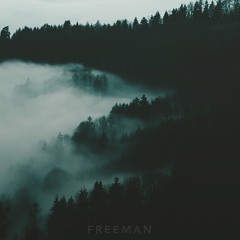 FREEMAN - Cold Nights in Seattle