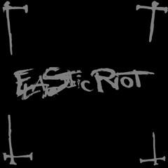 25 years - ELASTIC RIOT