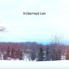 Hibernation