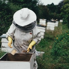 KCLR Drive: Talking Honey & Bee Keeping