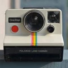 Polaroid