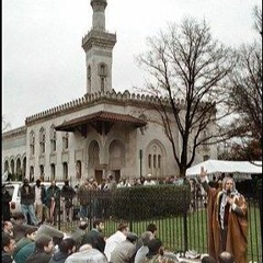Moneyed Salafis In America And Arabia