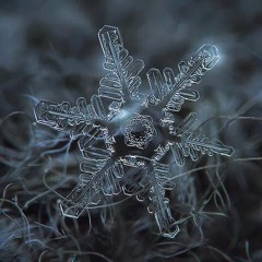 Snowflake Frosting
