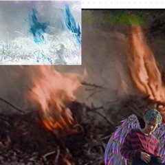 nascar aloe-prince$$cumhere