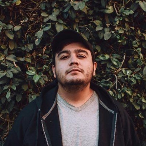 hi i'm rickyxsan and this is gettin' that version 26.0