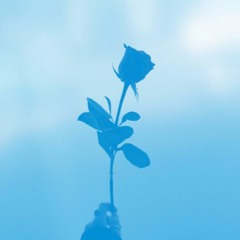 send love. X Wolf Trap - Crestfallen