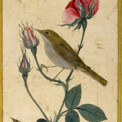 CONCERT - Bulbul i-Ashiq – The Nightingale In love (Ali Ufki & Demetri Cantemir's notations)