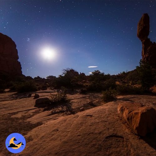 MOONWALKER_instrumental(PROD. BY BPDAGASMAN)