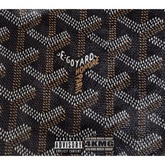 GOYARD "INTRO"
