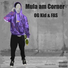 Mula Feat. Lil Lit (prod. FAS)