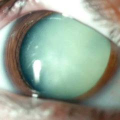 JUSS A THOT... Prod Gorrific