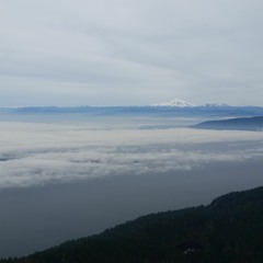 Sicario movie review