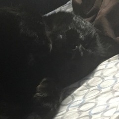 Emily's Doll OST - Alone