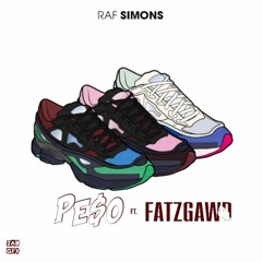 MoneySignPe$o Ft. FATzGAwD - RAF SIMONS