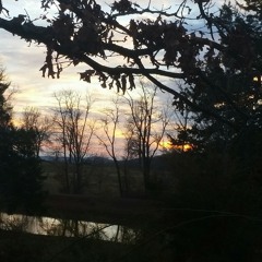 I Don't Wanna Live Forever- (COVER)