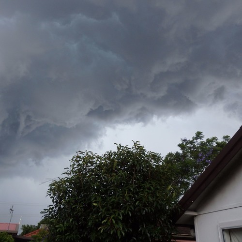 Stream Party Planet 2016 By Plokiju Featuring Bruce Cumming By Plokiju 