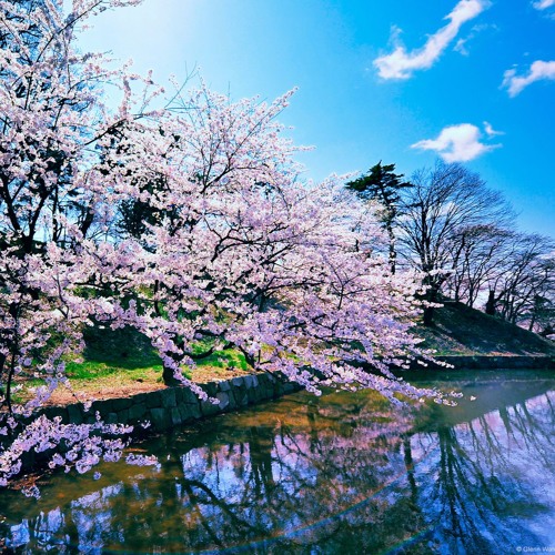 Julian Wenck - Lensko - Let's Go! [NCS Release]