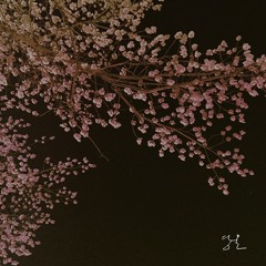 Damon  Choi - Sometimes  I
