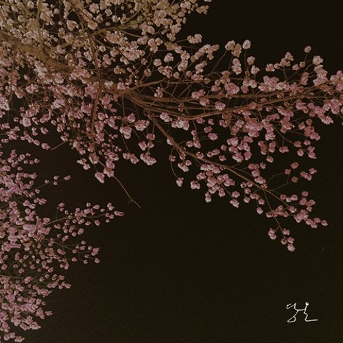 Damon  Choi - Sometimes  I
