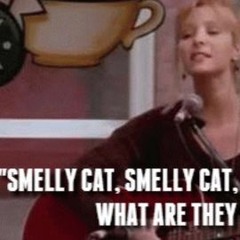 Smelly Cat