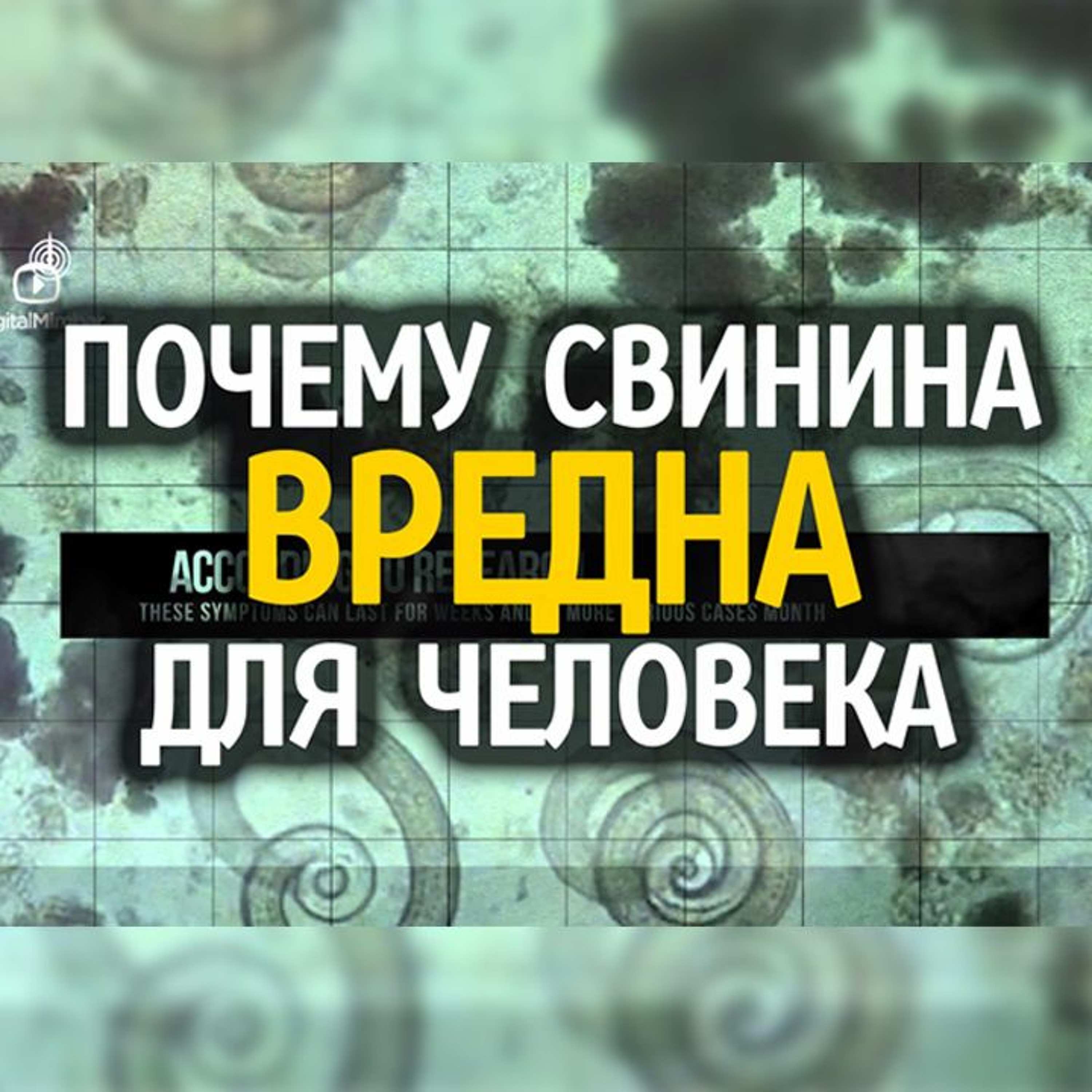 MIRadio.ru