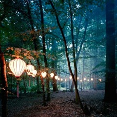 Maik Richter - Lights In The Wood