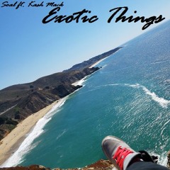 Soal Ft. Kash Mack - Exotic Things
