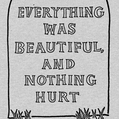 Furious - Everything was beautiful and nothing hurt