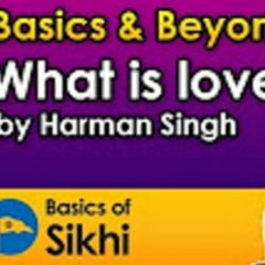 What Is True Love? Harman Singh - Basics & Beyond UK Camp 2016