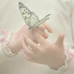 Zetsa - Weißer Schmetterling