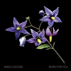 Burn For You (Single)