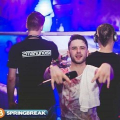 2Manynoise - Samen Festival Mix