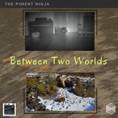 Between Two Worlds / #2 of 22