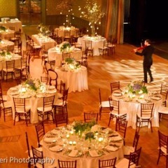 Live Solo Violin and Ensemble Performances featuring the versatility of Mark Woodyatt