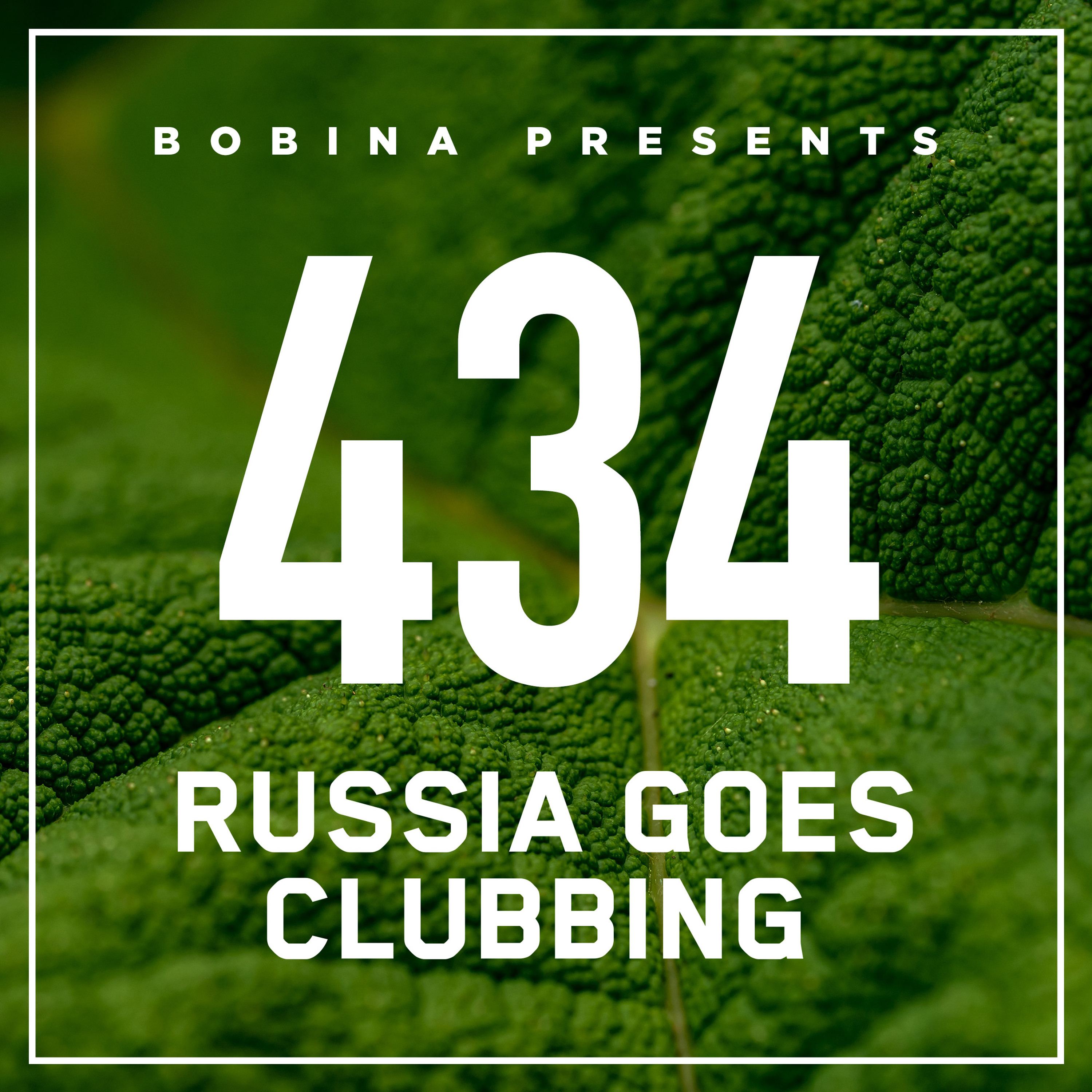 Russia Goes Clubbing