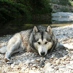 Journey through Music - February - Endless Conjuring