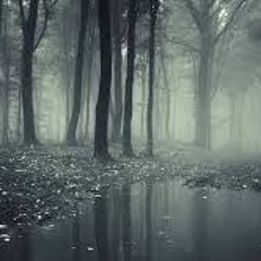 Dark Forest