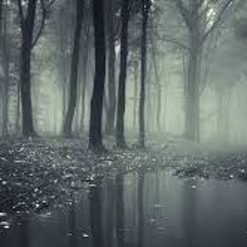 Dark Forest