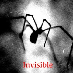 Invisible (Complete)