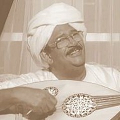 هاشم ميرغني