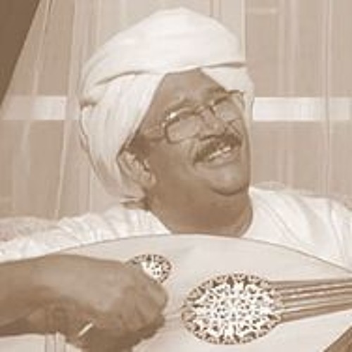 هاشم ميرغني