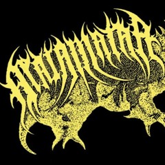 VELHO DEMÔNIO - MATAMATAA