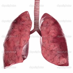 Fine Crakles with Desiduous Bronchial Sound: Right Lower Lobe
