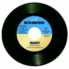Walter Christopher - Felicity - Radio Edit