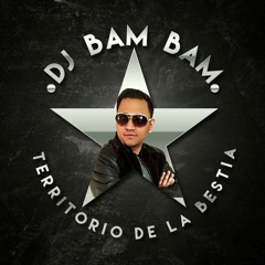 DURANGUENSE MIX trono de mexico vs tierra cali DJ BAMBAM LA BESTIA