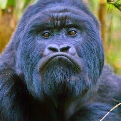 SuperSoul - February 2017