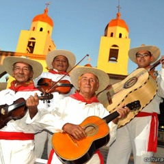 Mariachi Tradicional - El Bejuquito