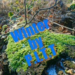 WINTER-Laube_Records