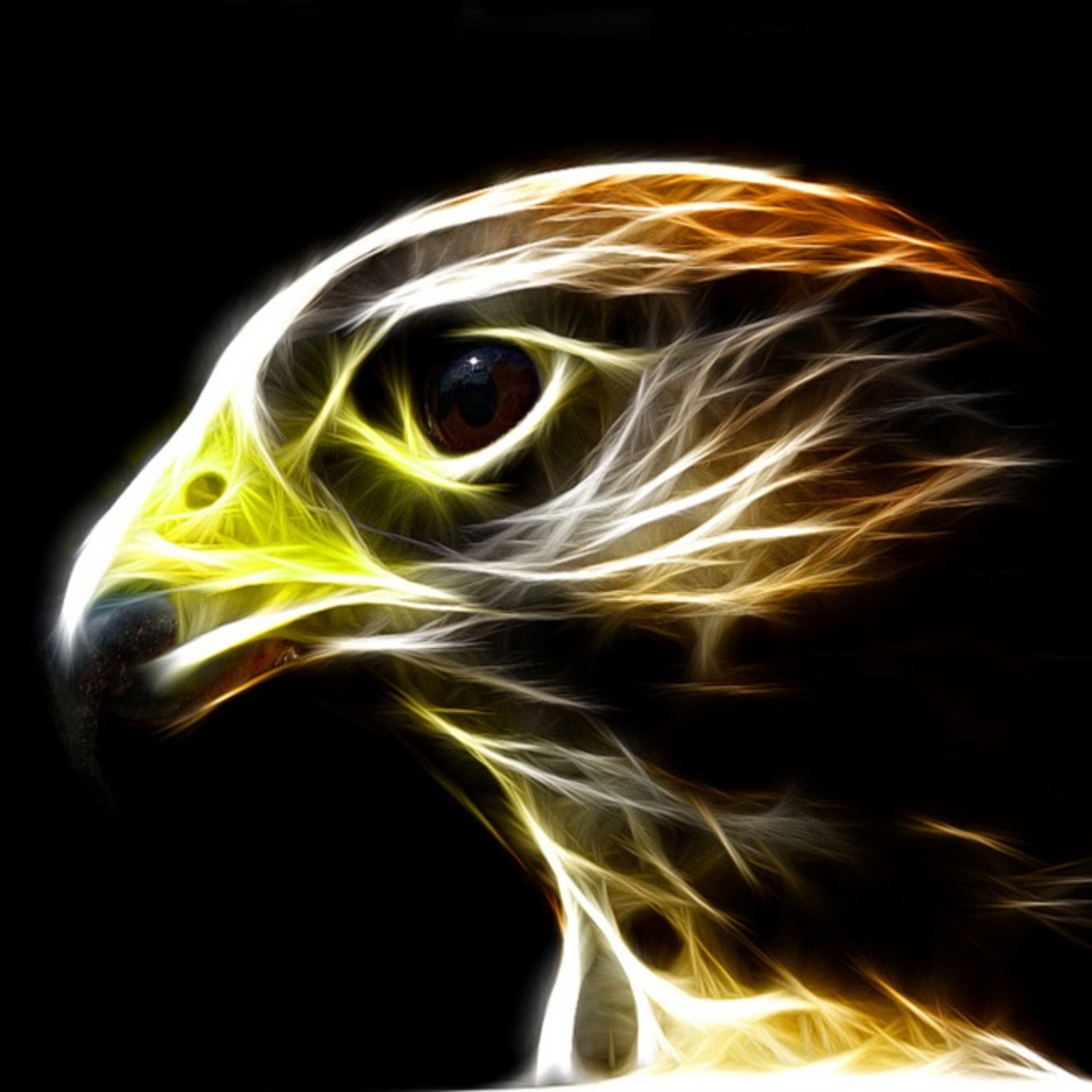 Electric Falcon episode artwork