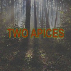 Two Apices